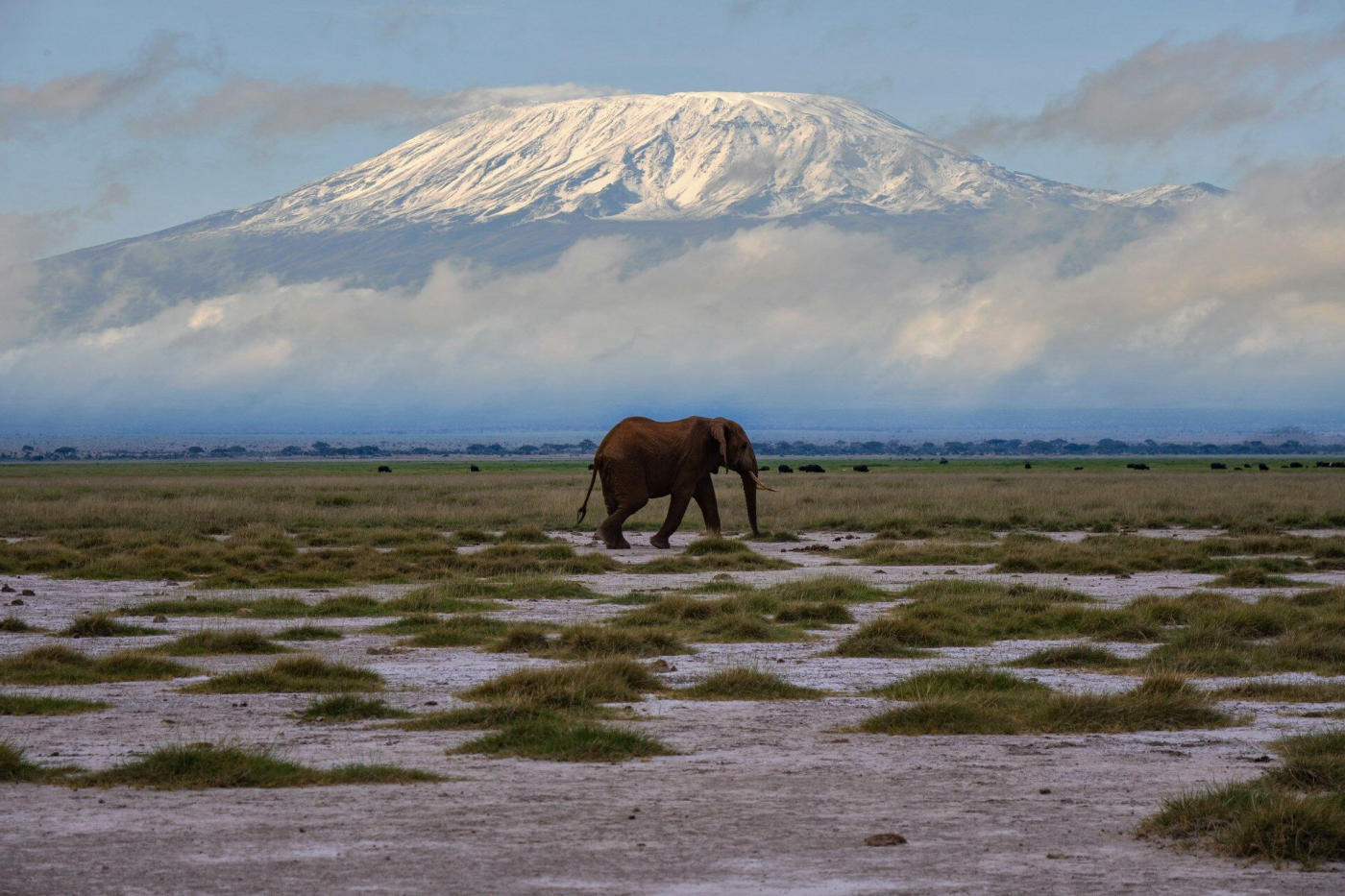 Kenya Essentials: Amboseli, Tsavo and the Beaches of Mombasa