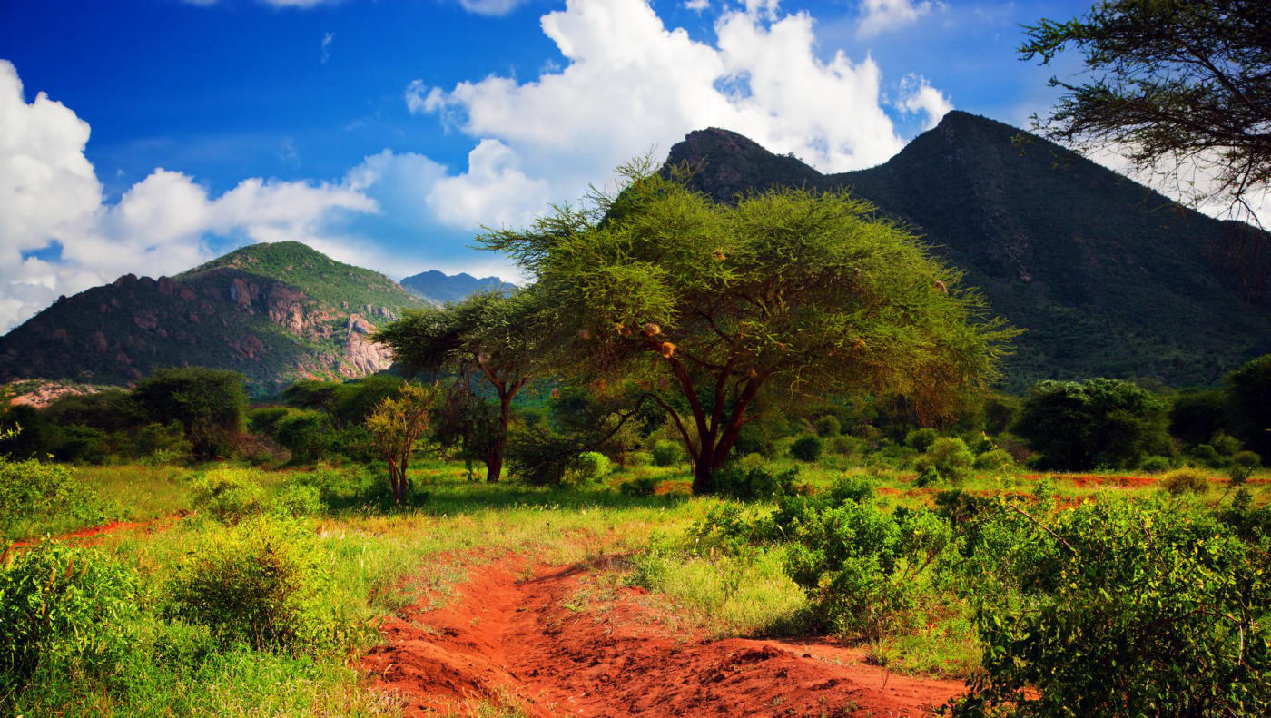 Tsavo West — photo 3