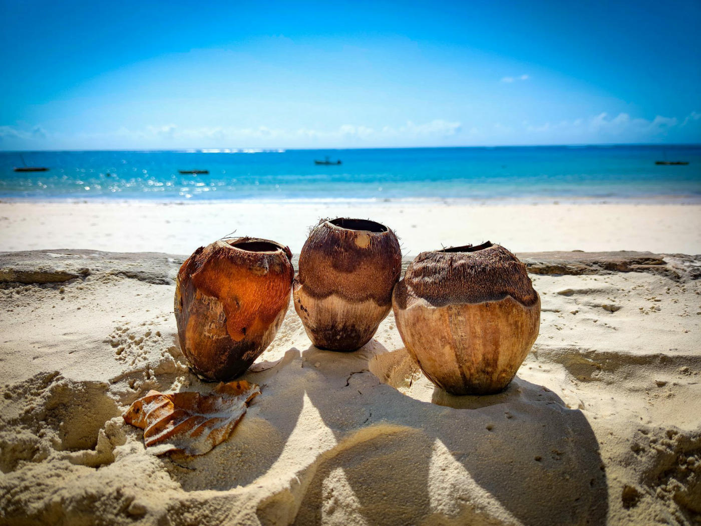 Free day in Mombasa