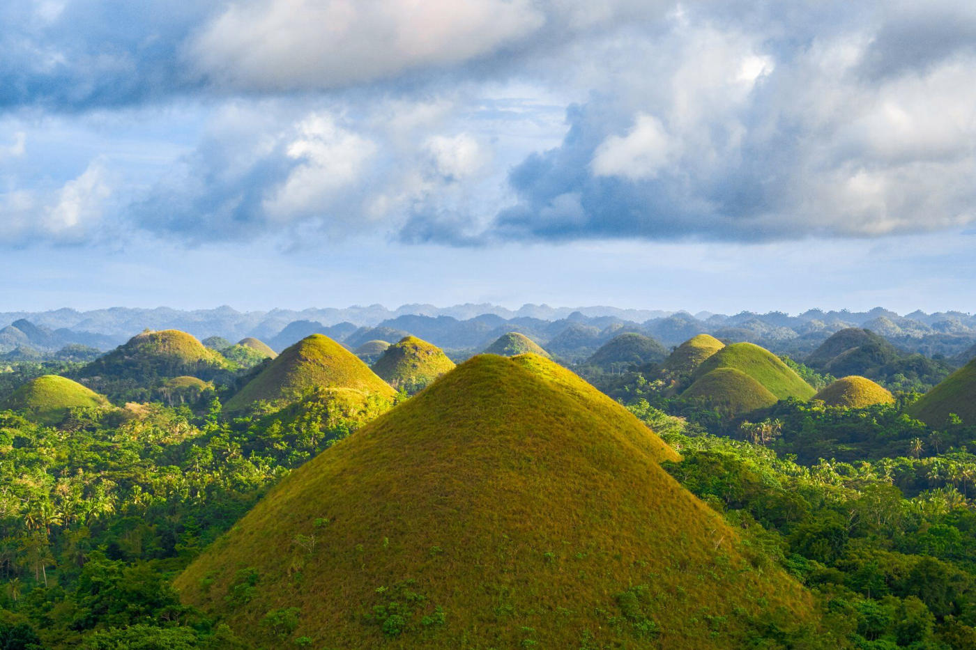 À la découverte de Bohol : Chocolate Hills, tarsiers et île de Pamilacan