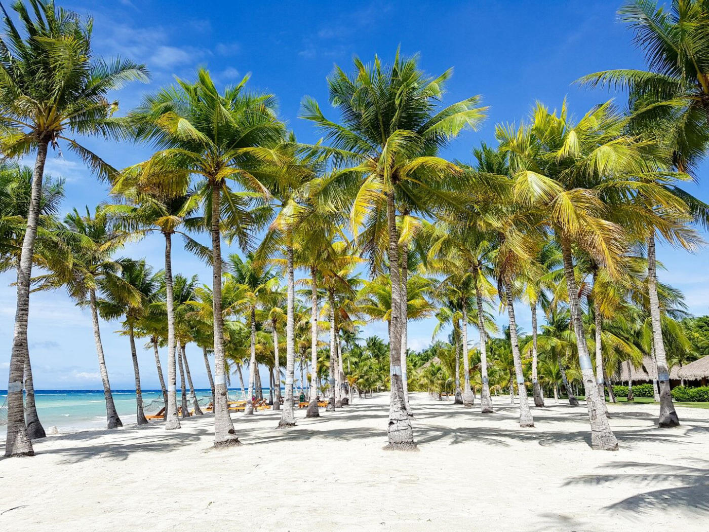 Beauté des îles Visayas : Dumaguete, Siquijor et Bohol