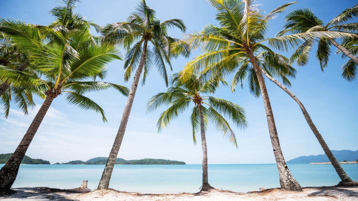 Beach stay, free day
