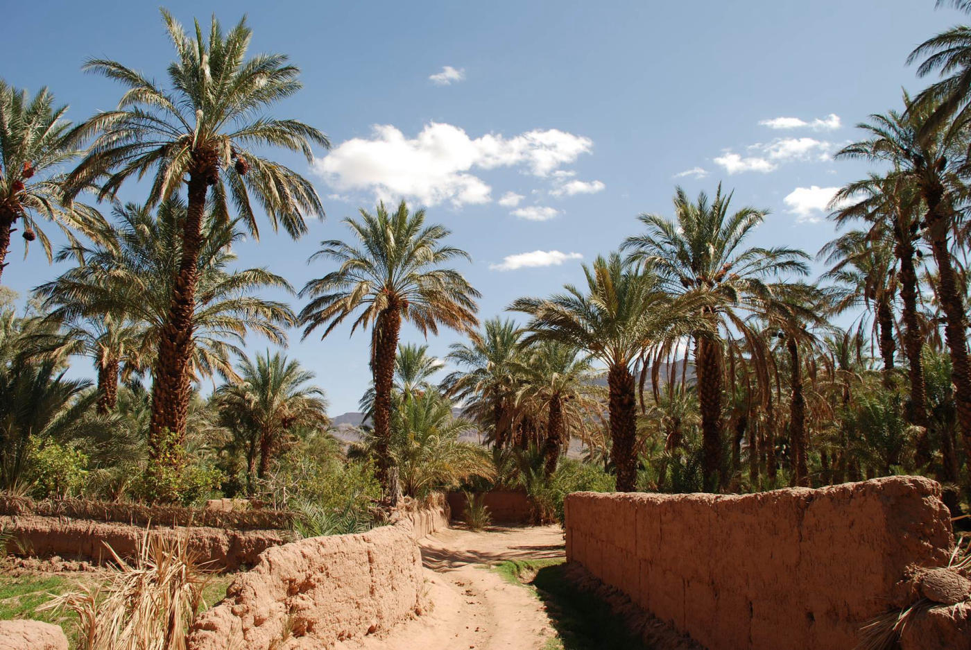 Lac Iriki et Ouarzazate — photo 2