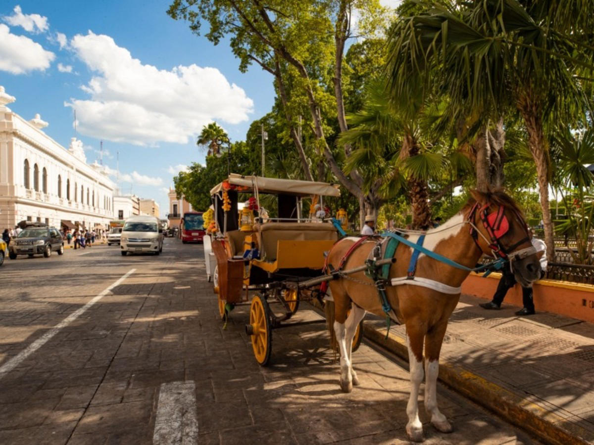 Palenque – Campeche