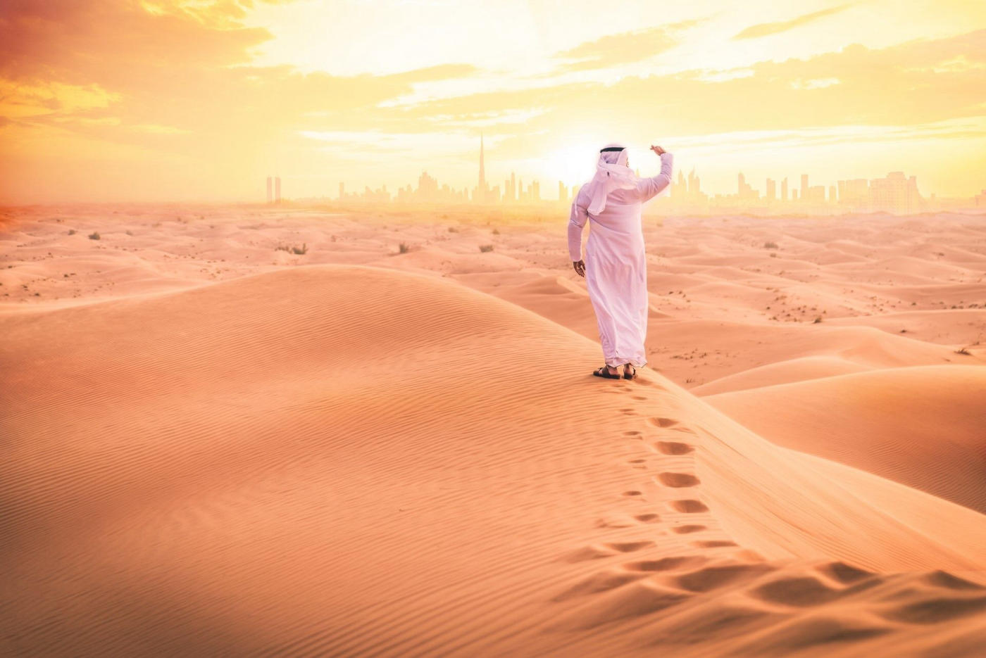 A desert safari