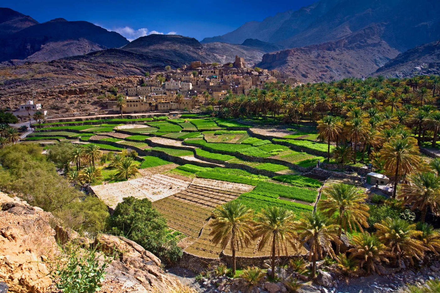 Between Seas and Deserts: the Sultanate of Oman and the Emirates