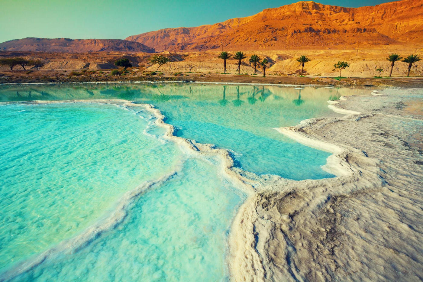 Sunrise by camel – the Dead Sea