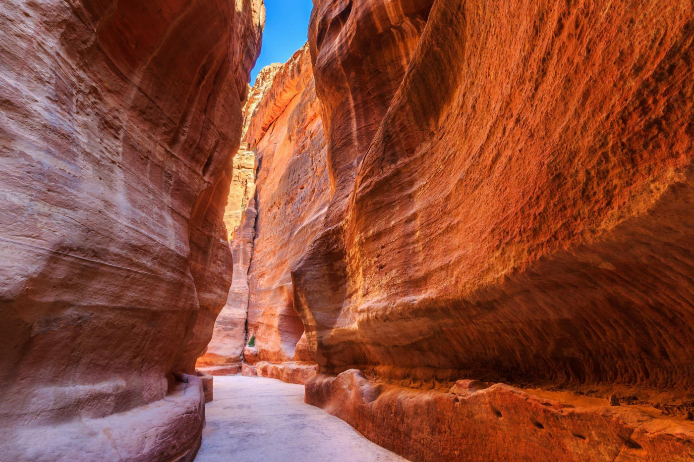 Jordania exprés: la ruta de los Reyes, Petra y Wadi Rum