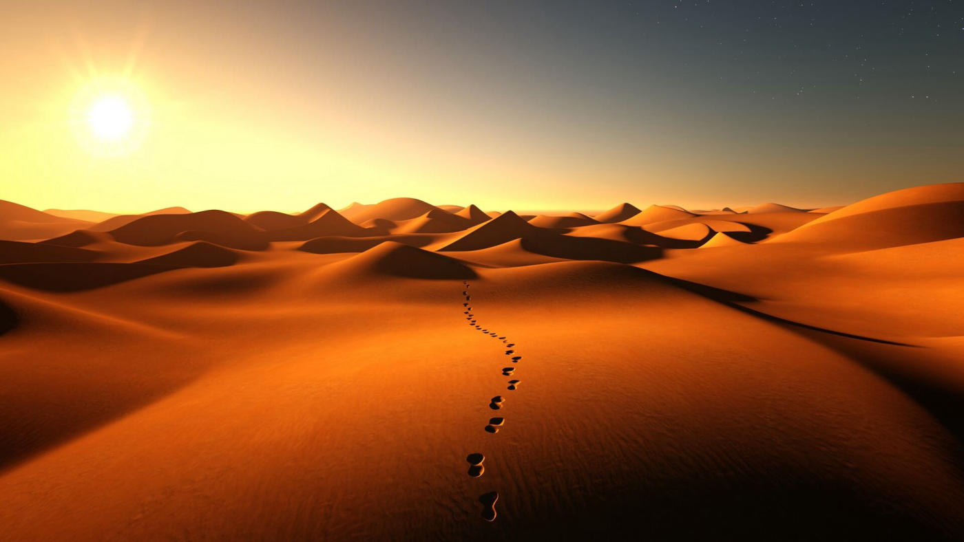The desert and the coast — photo 2