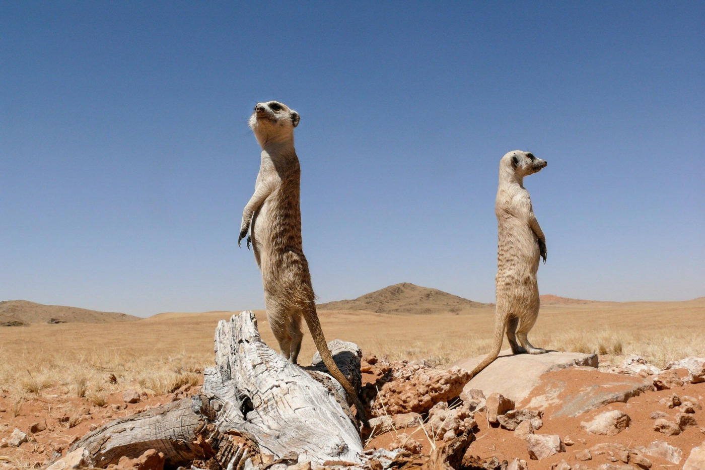 Mariental – Windhoek