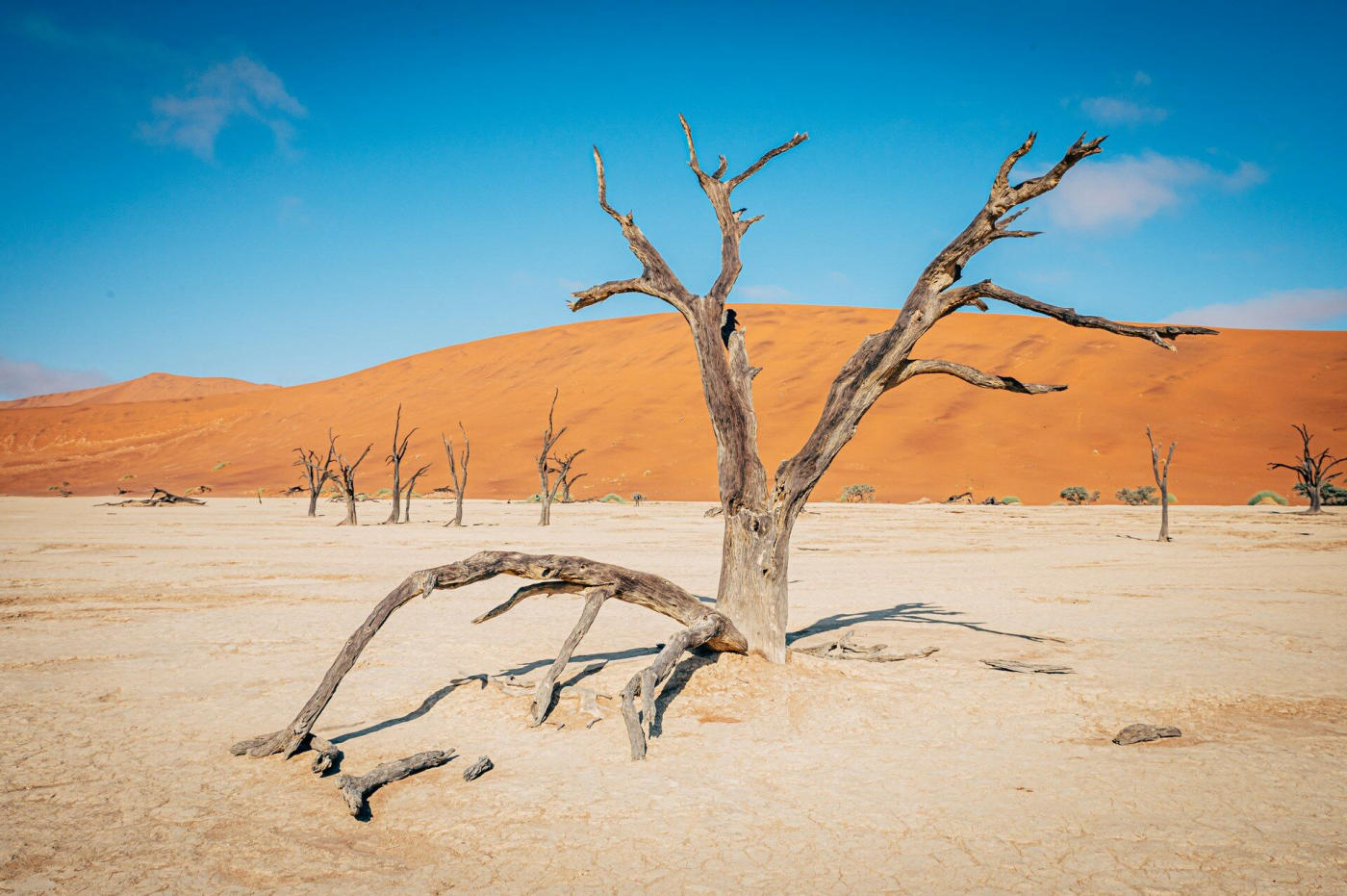 Sossusvlei, Dead Vlei y Sesriem