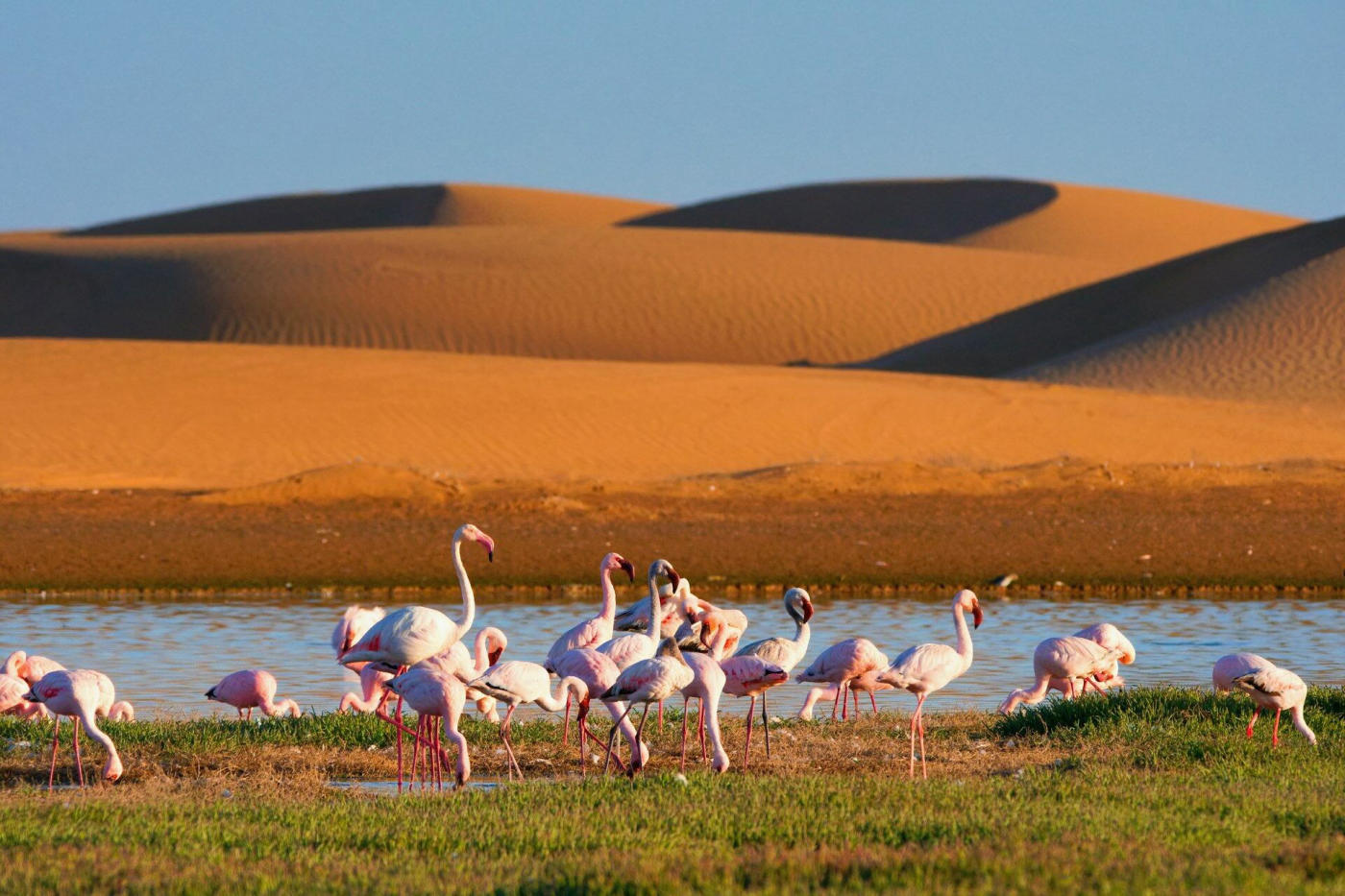 La laguna de Walvis Bay