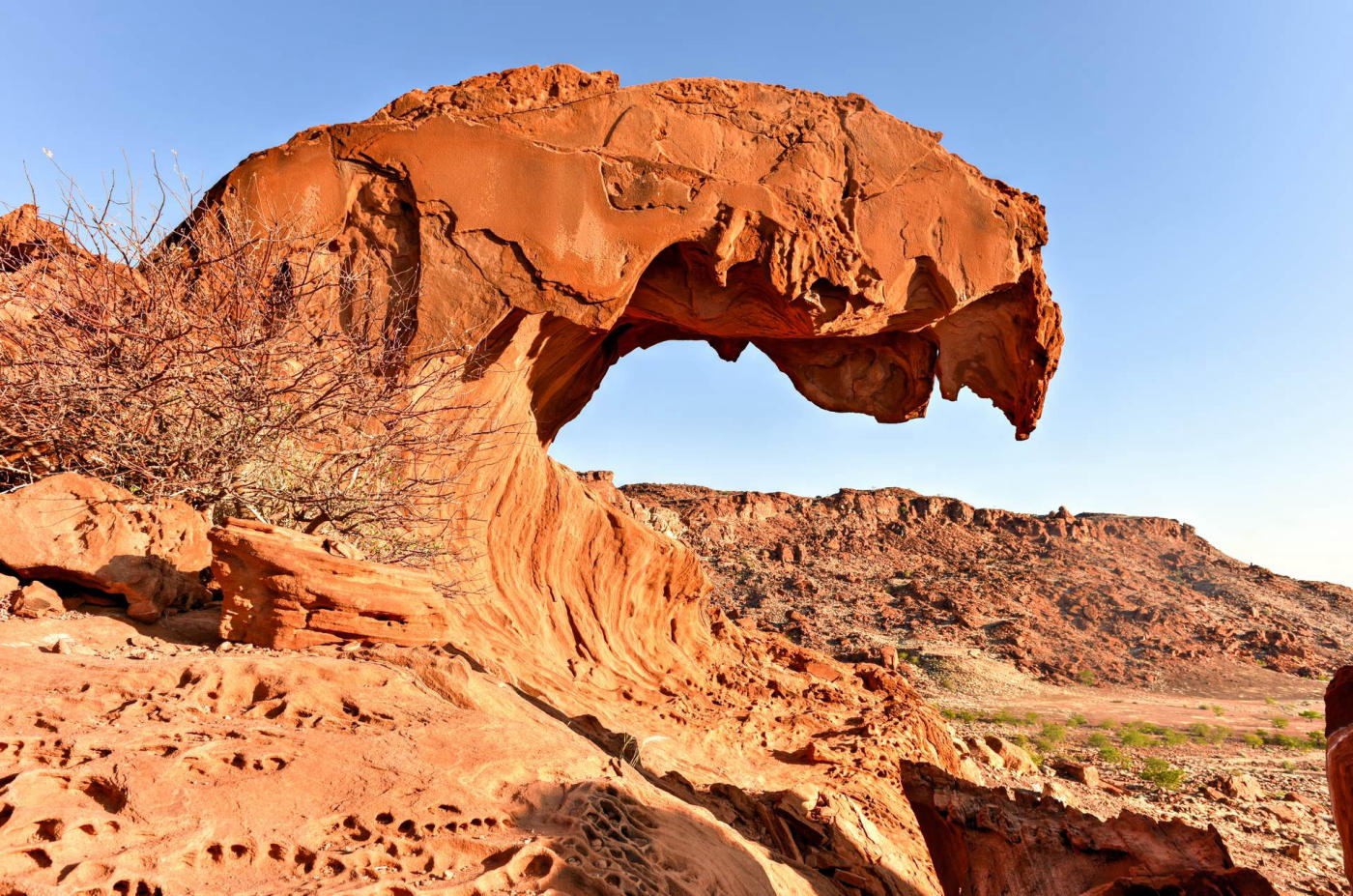 Los elefantes del desierto y los damara