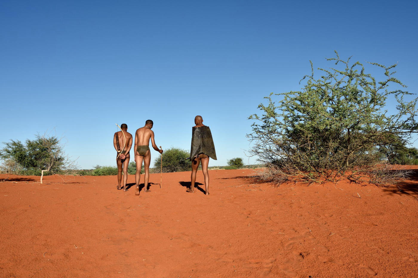 El Kalahari y los bosquimanos