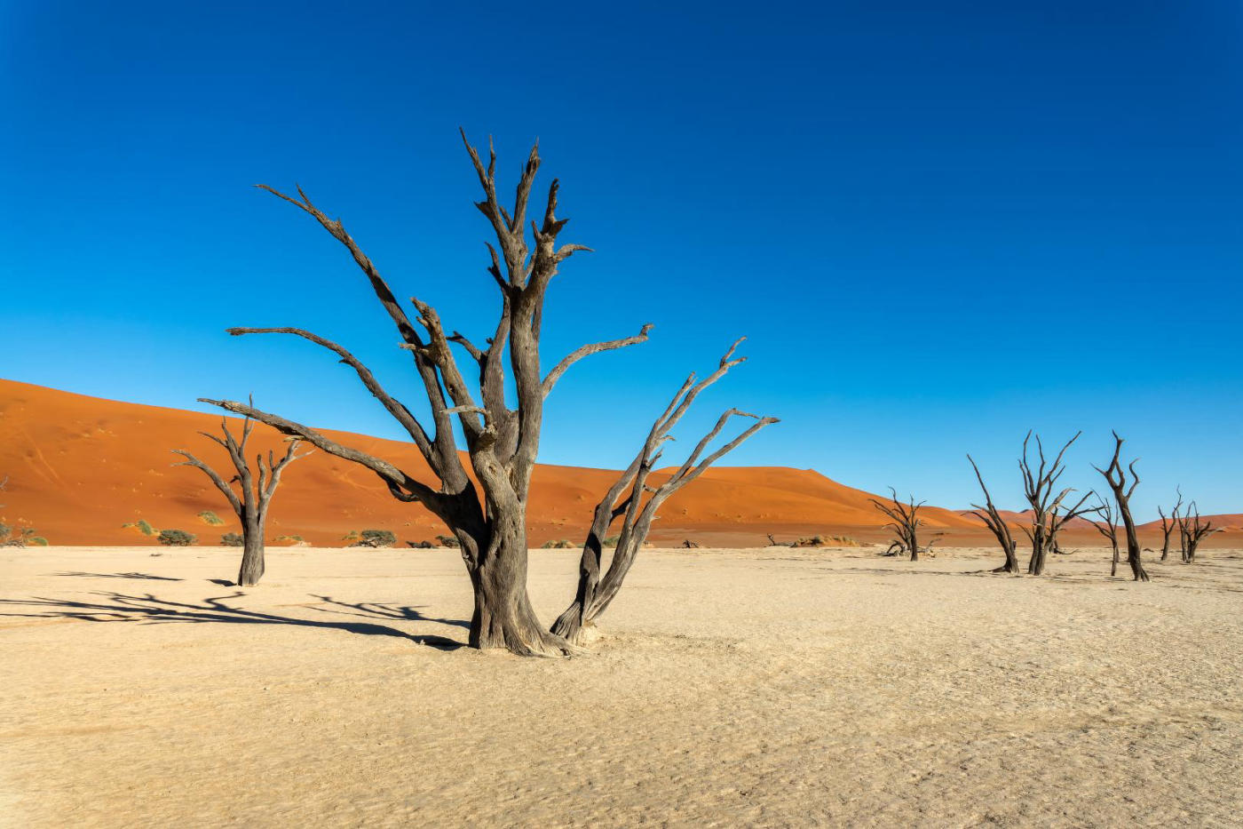 Swakopmund y el Namib — photo 4