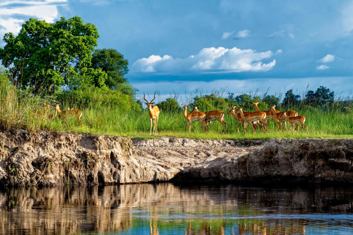 Bwabwata y el Okavango