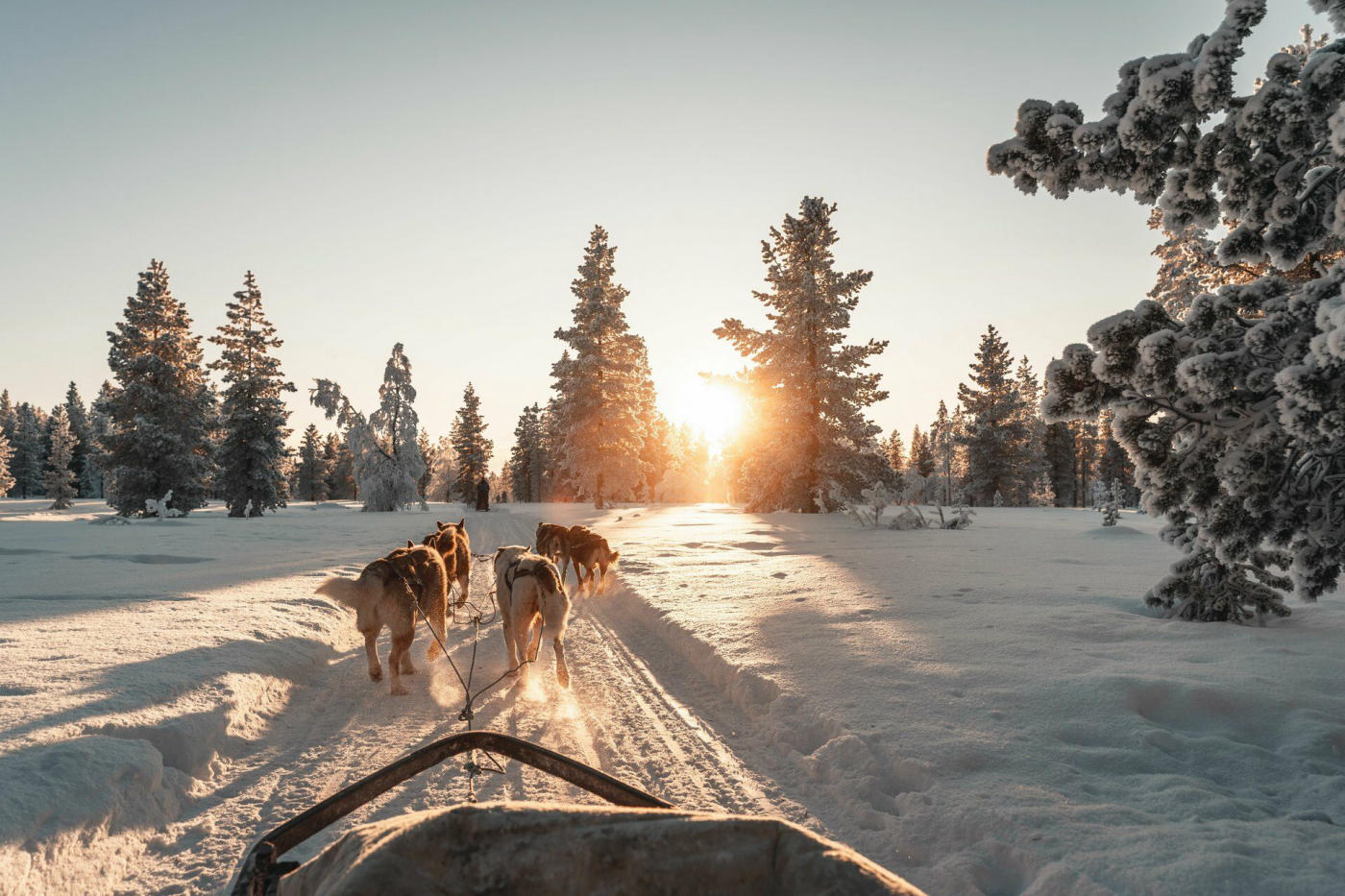 Rovaniemi and Tornio — photo 5