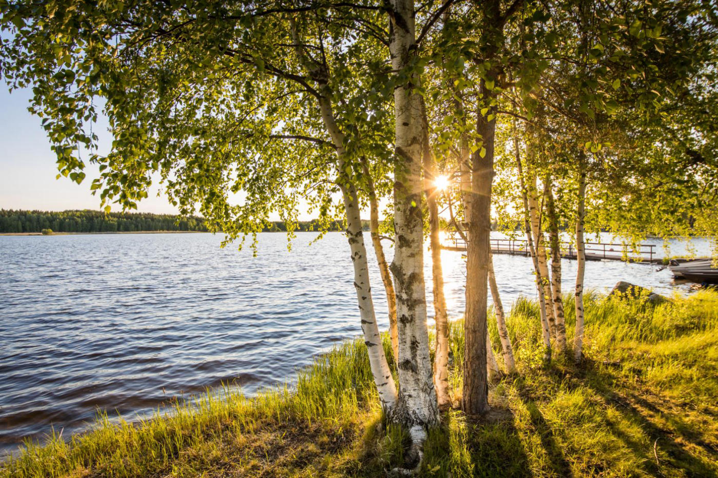 La Finlande en été : Levi, le soleil de minuit, les rennes et le canoë