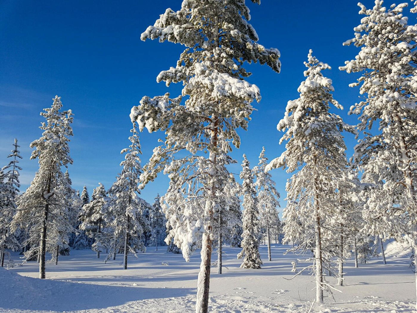 Arrival in Lapland – Levi