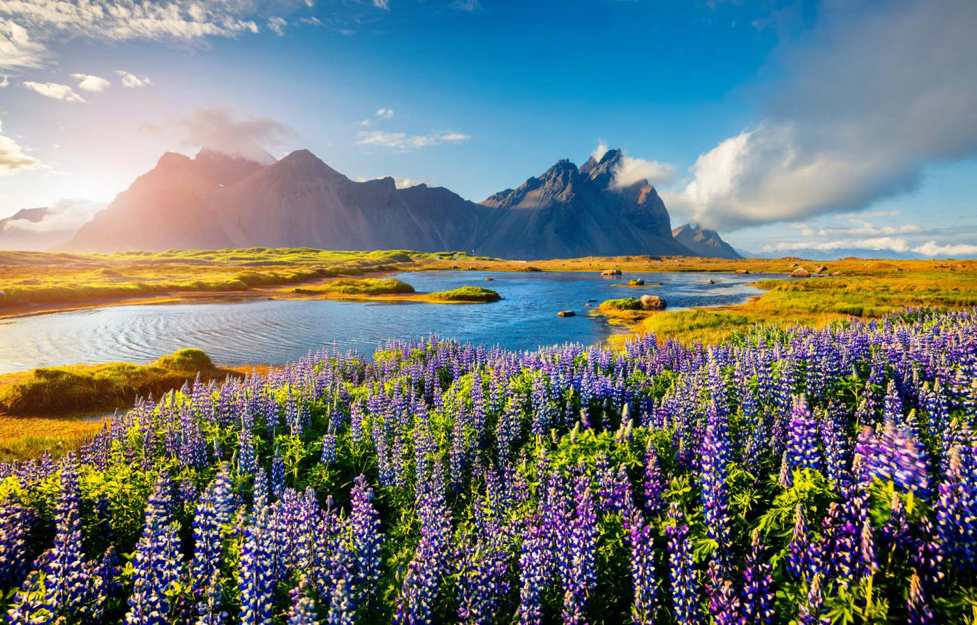 Maravillas de Islandia: la vuelta completa con los fiordos del Oeste y Látrabjarg