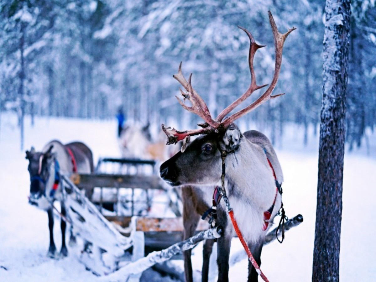 Finnmark