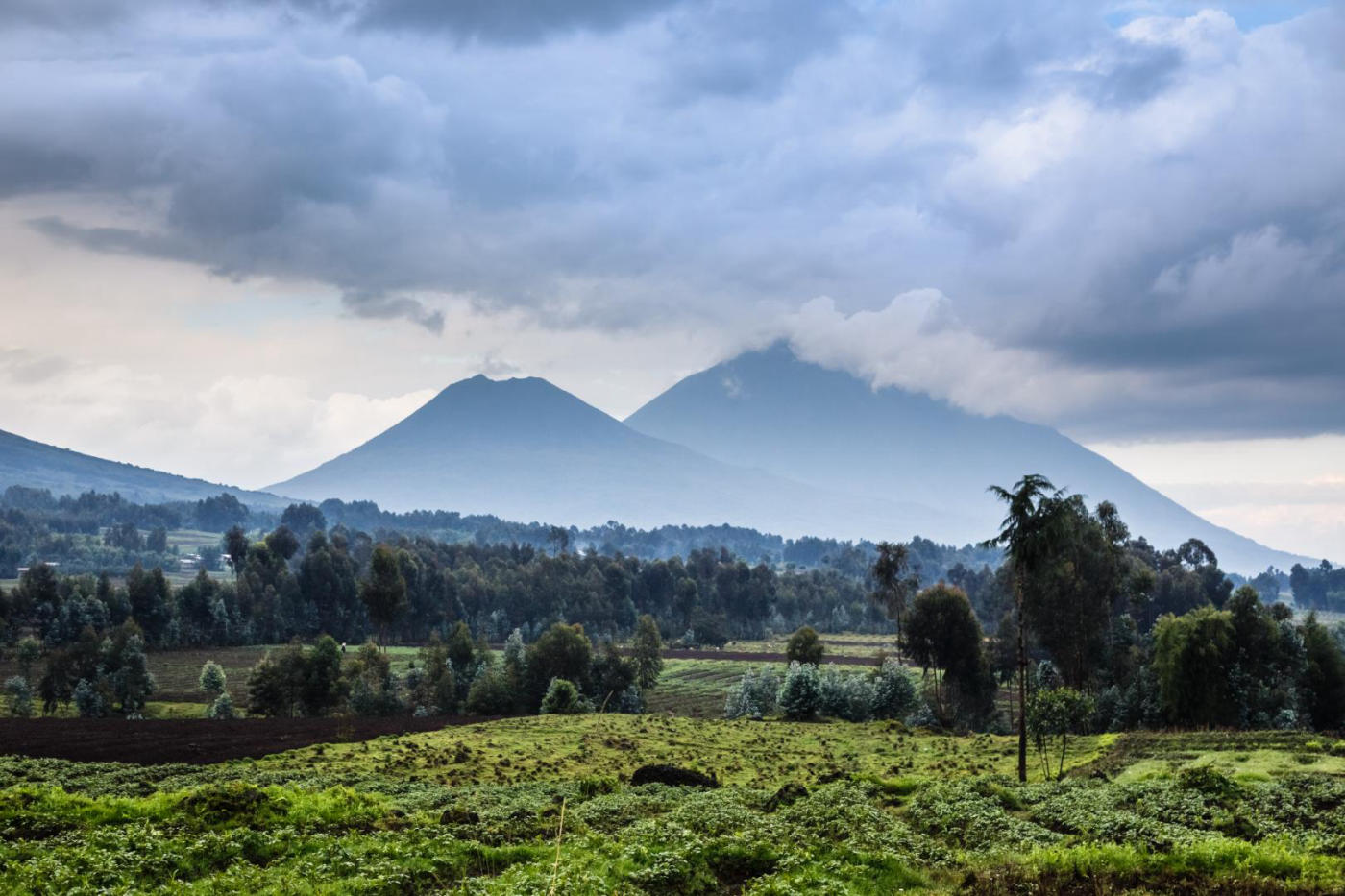 Akagera National Park