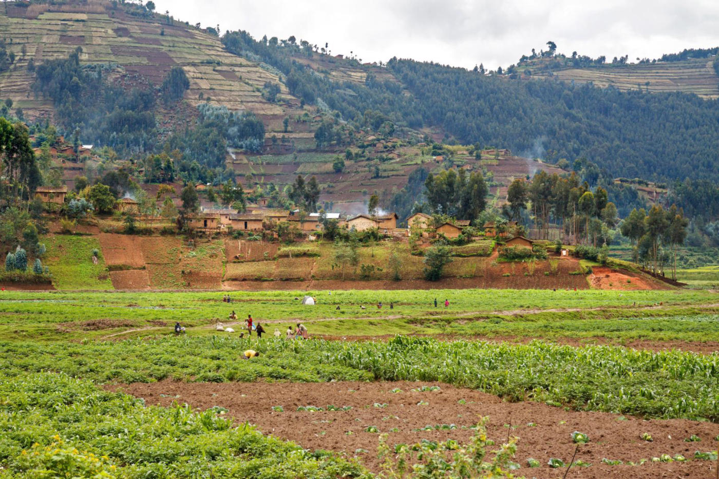 Flight to Kigali