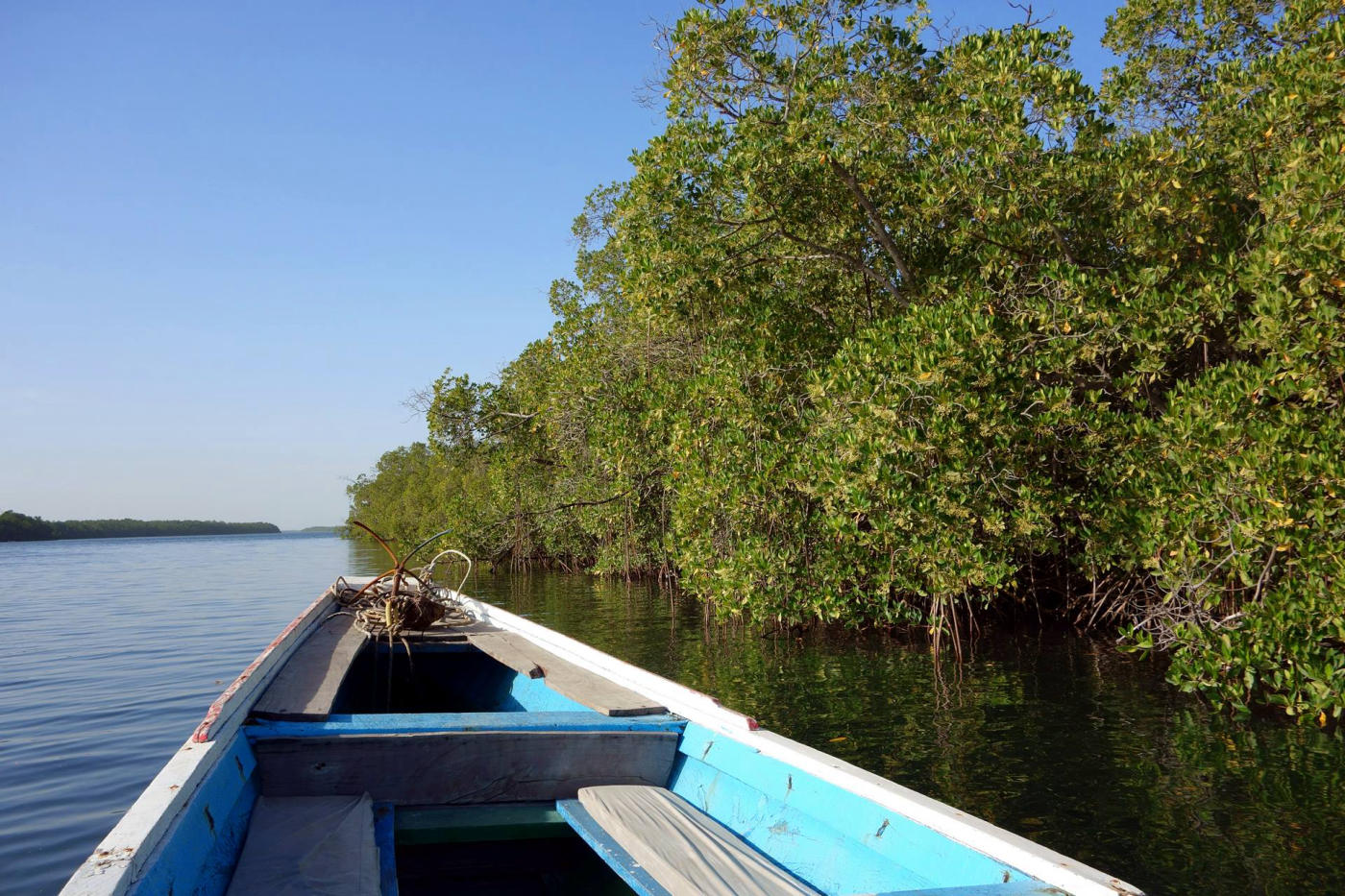 Rostros de Senegal: Gorea, Saint-Louis, Lompoul y el Saloum