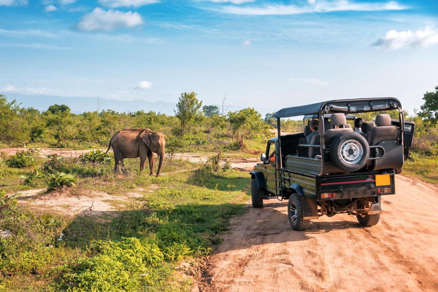Safari in Yala National Park