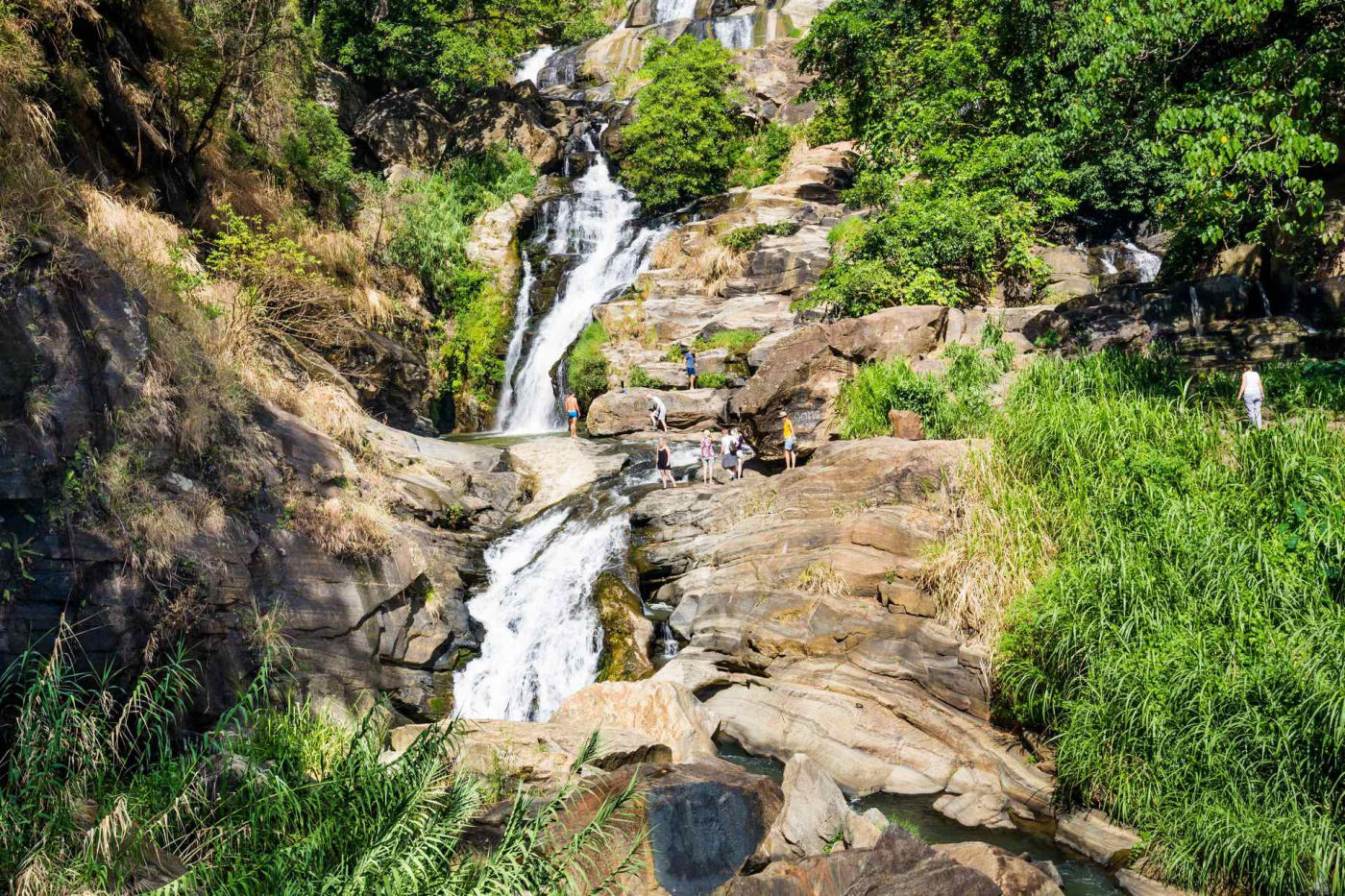 Safari dans le parc de Yala