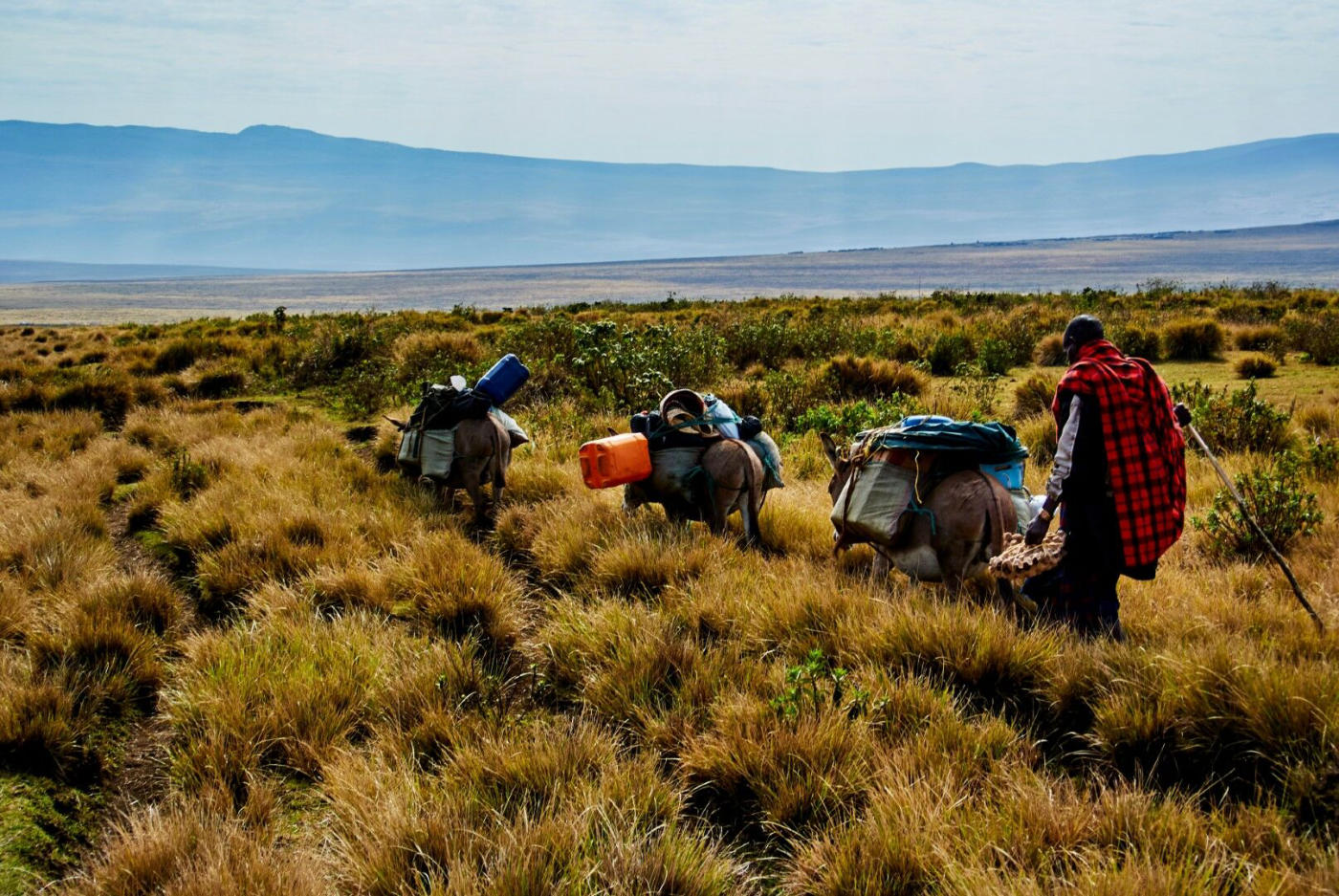 Le Ngorongoro et le Serengeti — photo 4