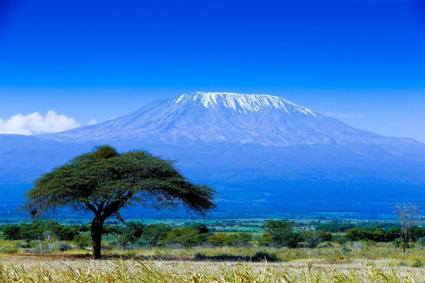 Vuelo a Tanzania