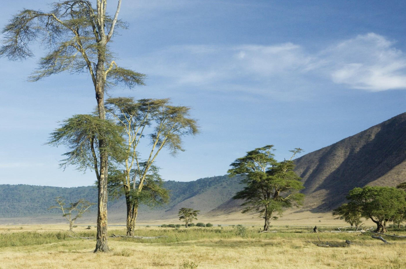 Arusha y el Ngorongoro — photo 3