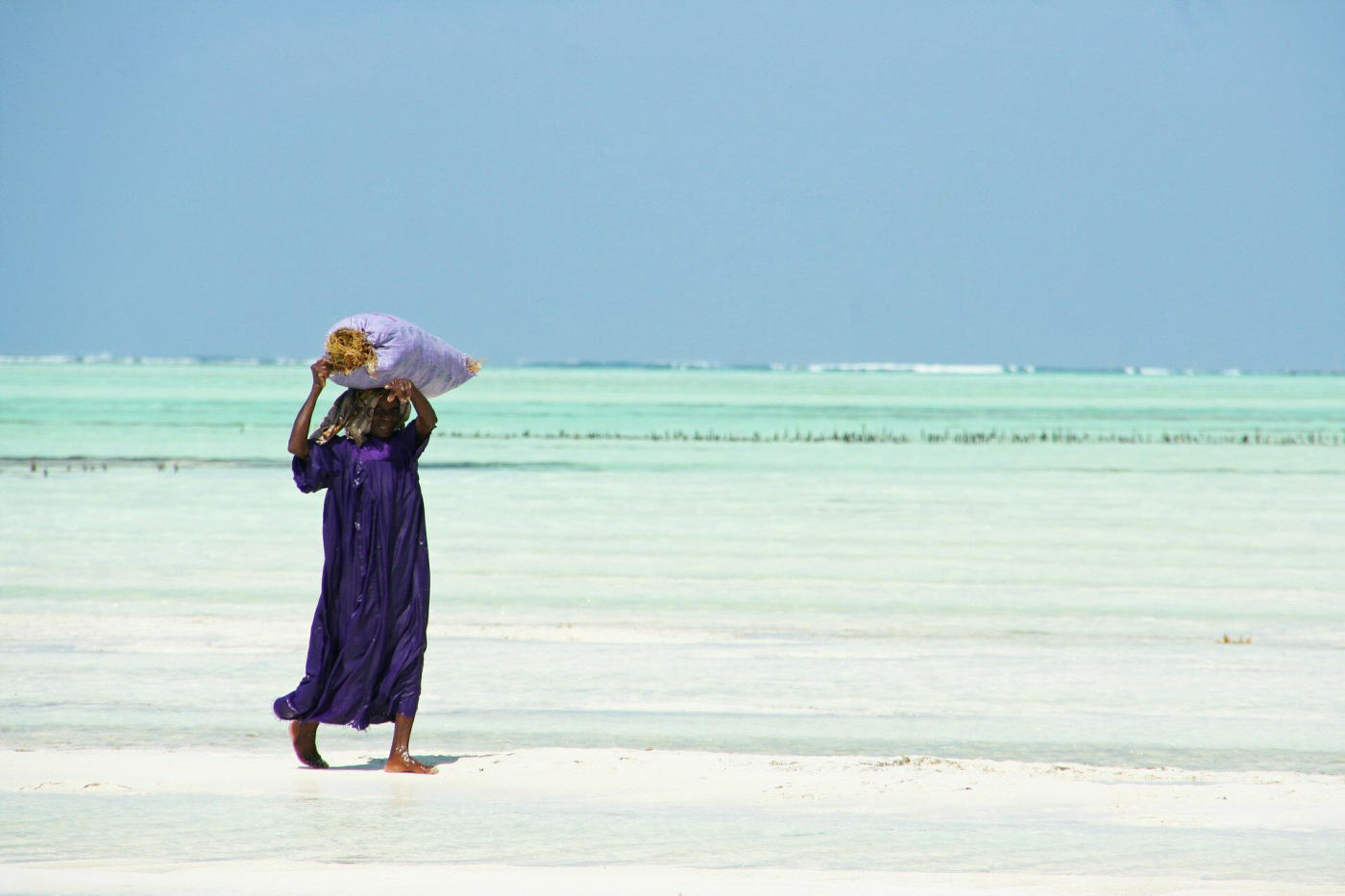 Zanzibar, séjour libre