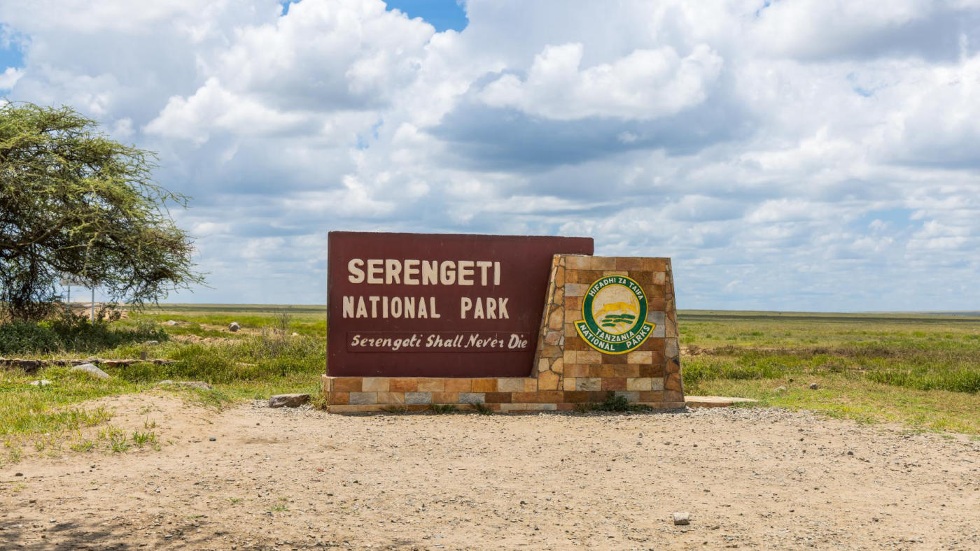 El Serengeti y Grumeti — photo 4
