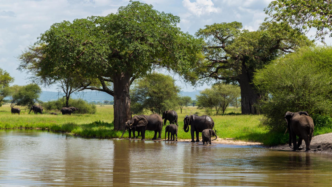 El parque nacional de Tarangire