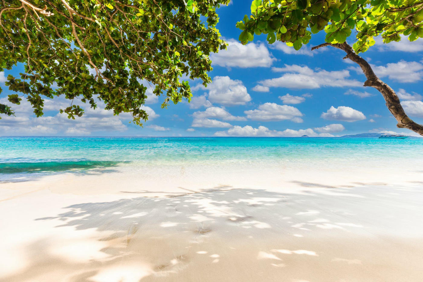 Jornada libre en la playa