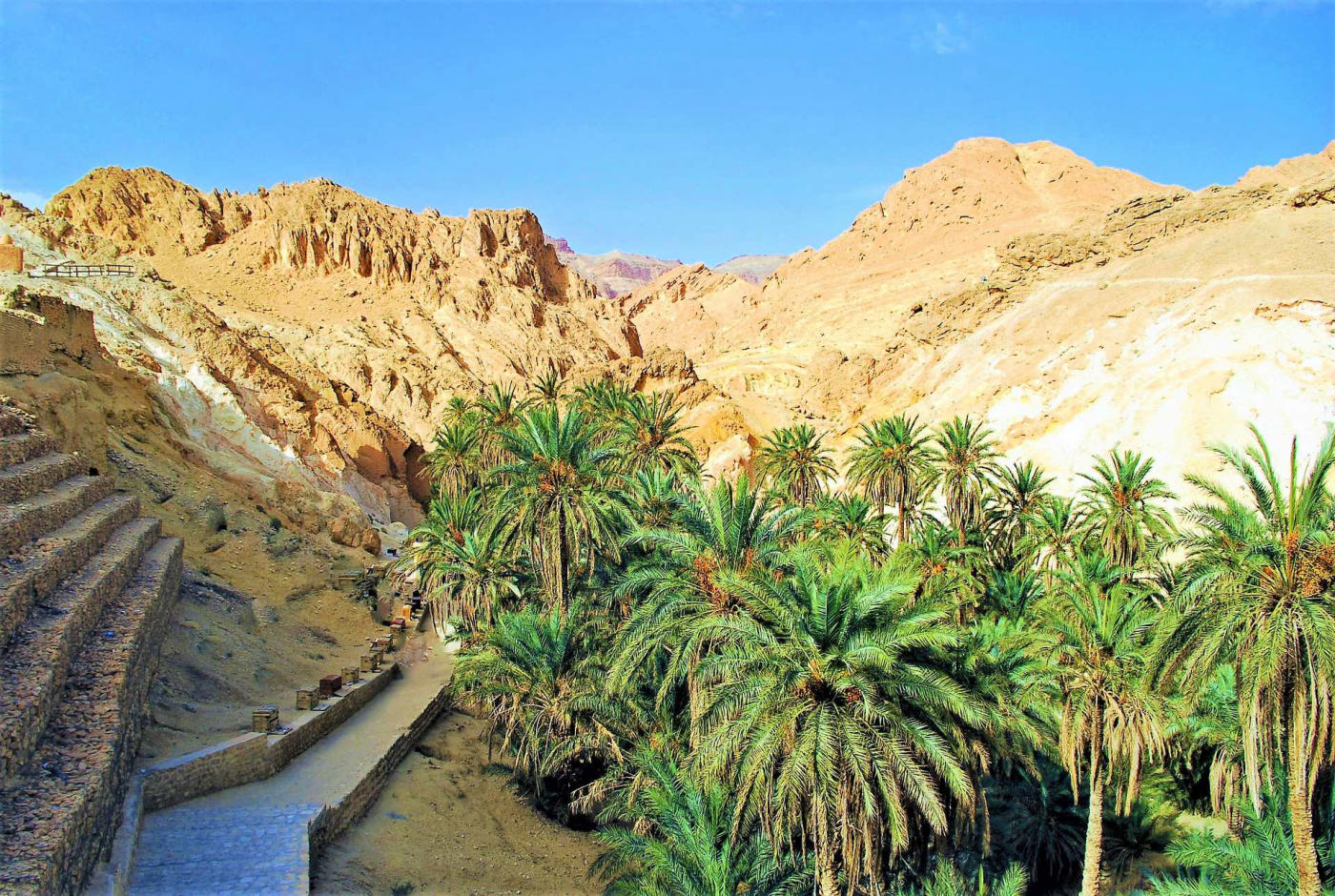 Túnez: mar en Hammamet y oasis del Sáhara en 4x4