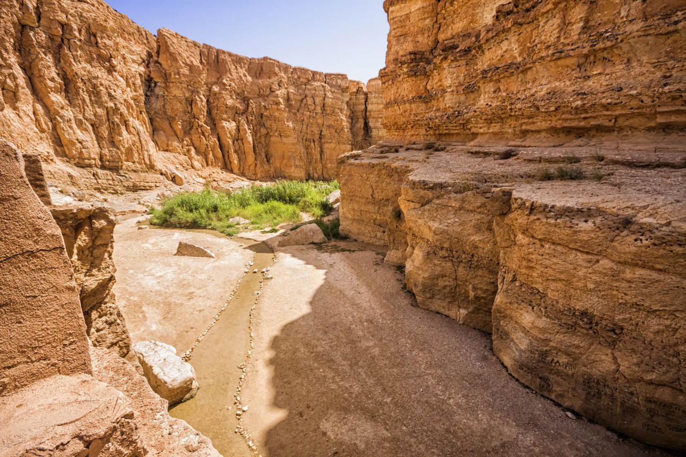 Chebika and Tamerza – Gabès – Djerba