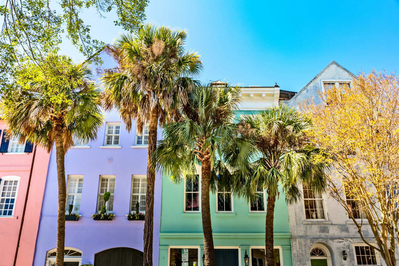Saint Francisville – Lafayette