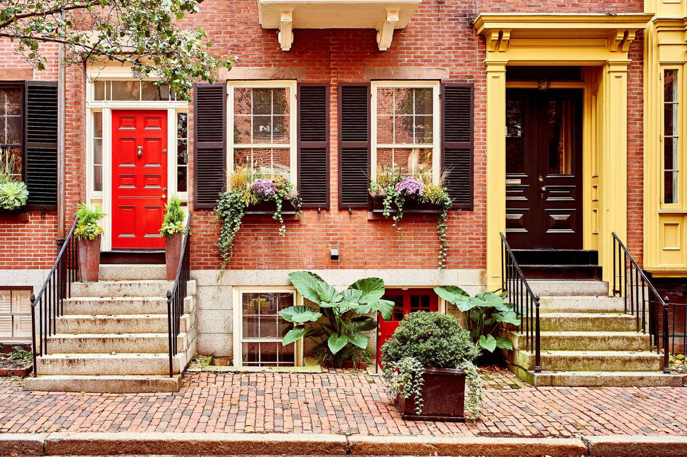 Newport, Yale – Philadelphia
