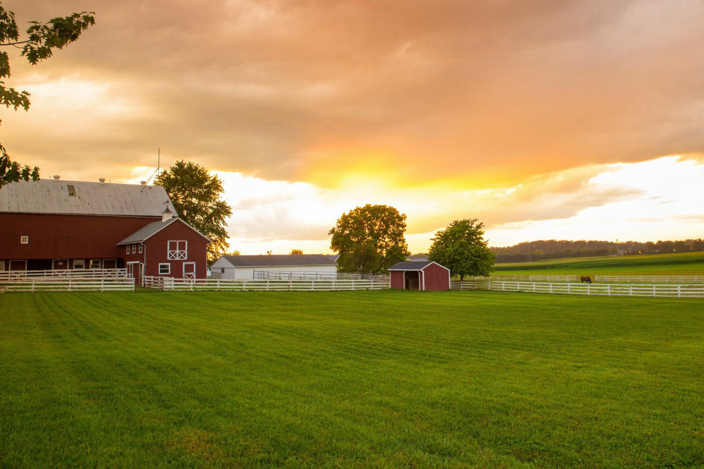 Philadelphia and Amish country