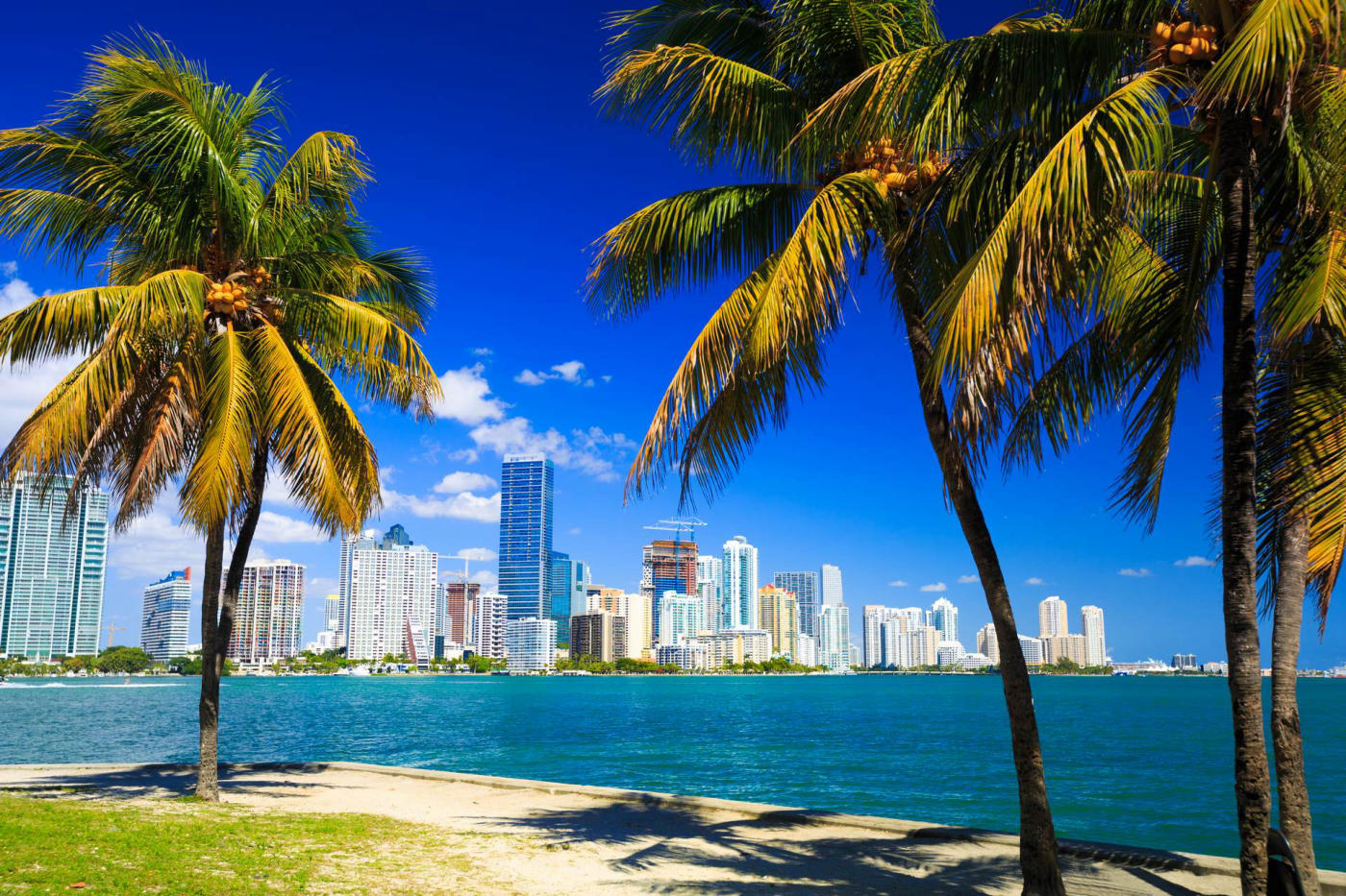 From New York to Key West: Washington, Charleston, Savannah and Florida