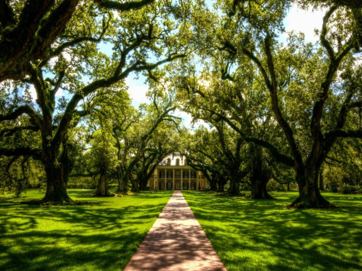 The Plantation Road – Baton Rouge
