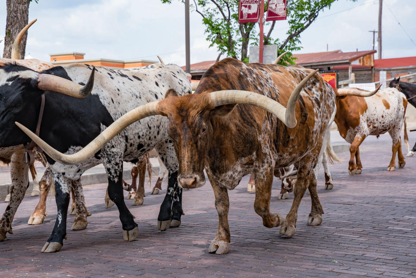 Austin – Fort Worth