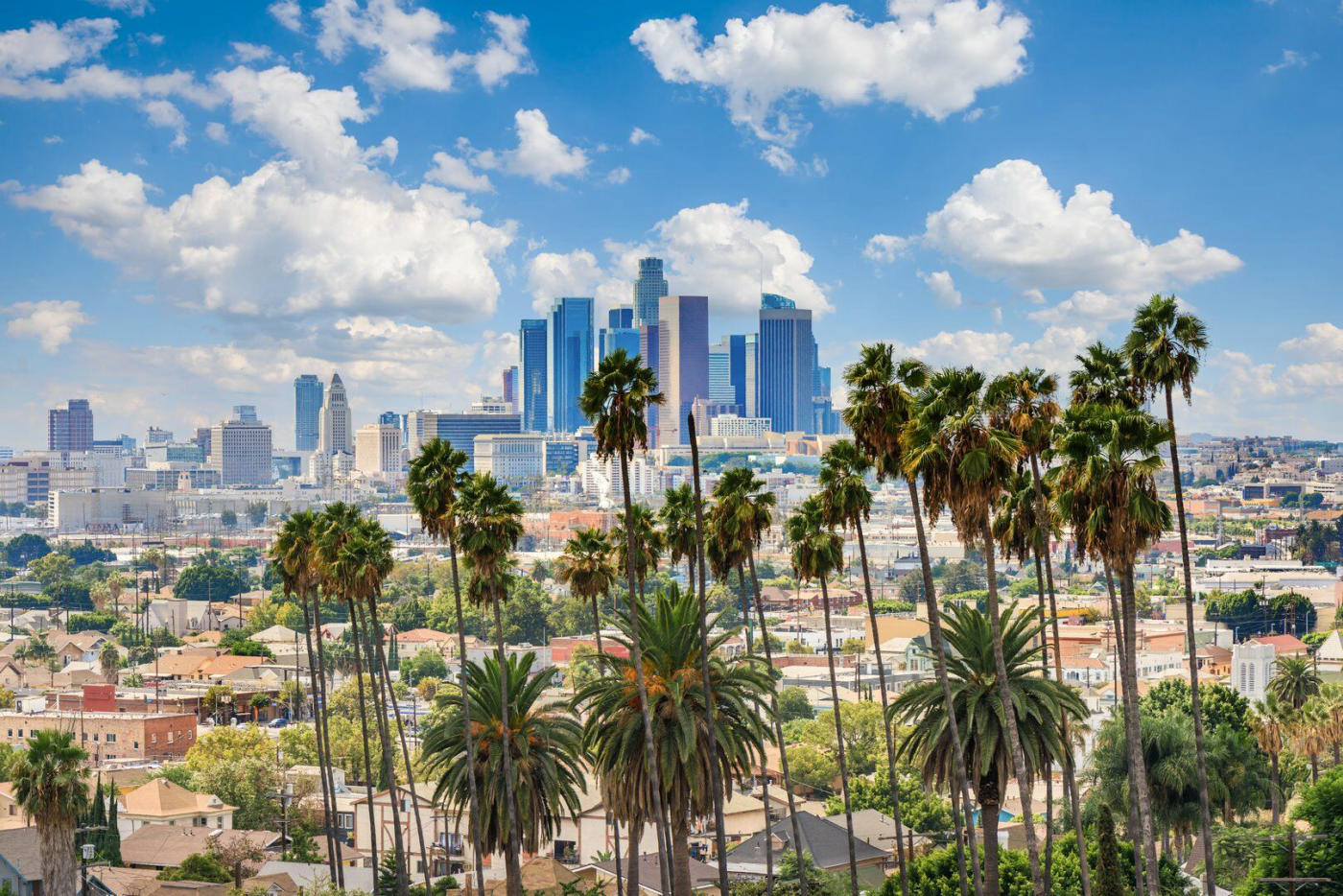 Los Angeles – flight home
