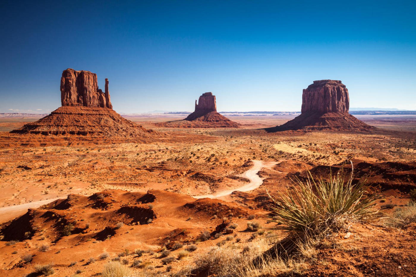 Heading West: from San Francisco to Los Angeles through the national parks