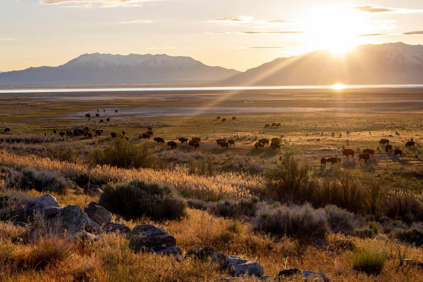 Antelope Island – Idaho Falls