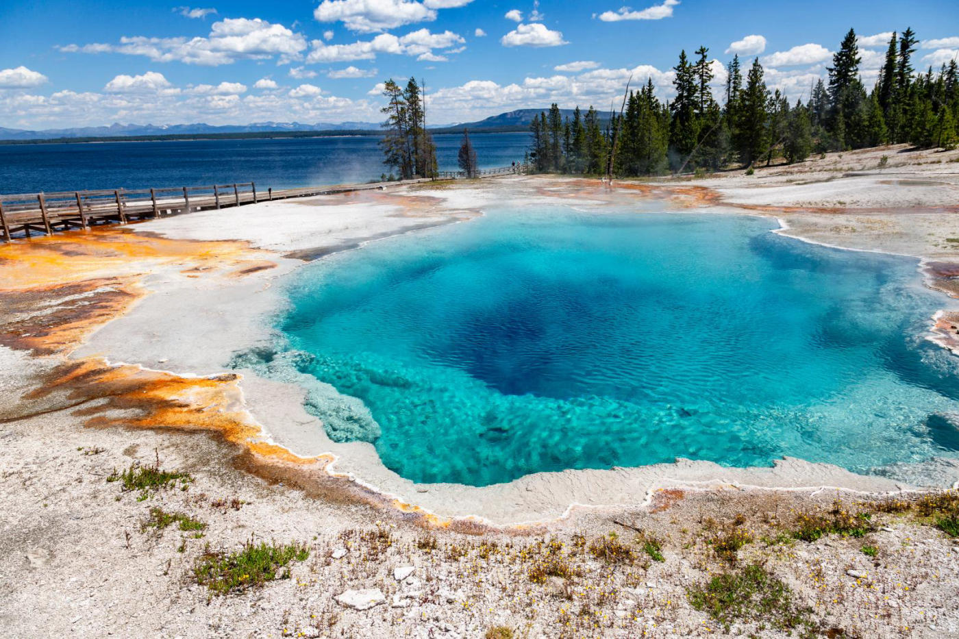 Yellowstone