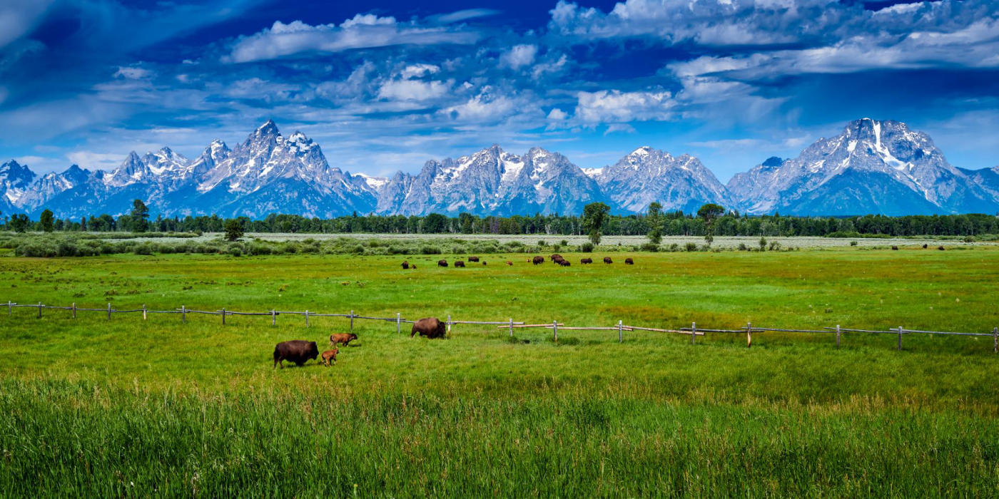 Grand Teton – Yellowstone